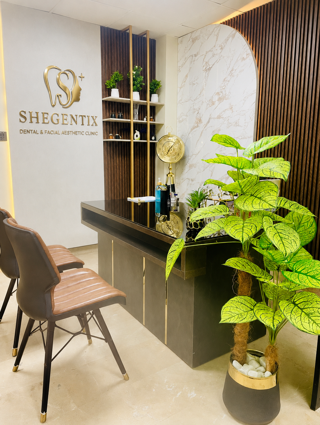 Shegentix clinical environment